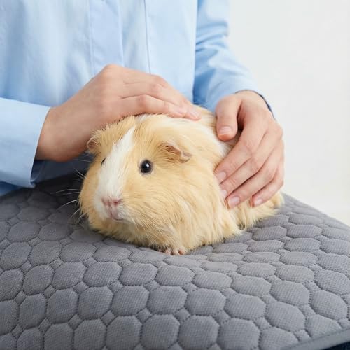 Guinea Pig Cage Liners, 49"X24" Washable Guinea Pig Bedding for Midwest Cage 4 Pack, Reusable & Anti Slip & Waterproof, Absorbent Guinea Pig Pee Pad for Small Animal, Rabbit, Bunny, Chinchilla - Image 5