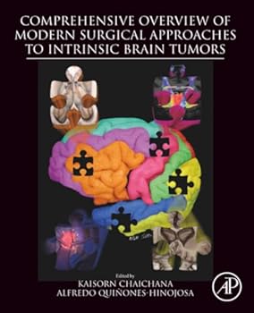 Paperback Comprehensive Overview of Modern Surgical Approaches to Intrinsic Brain Tumors Book