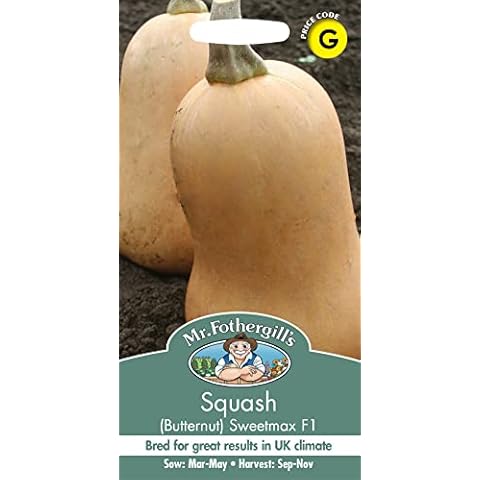 Mr Fothergill's Sweetmax Butternut Squash Seeds Cover