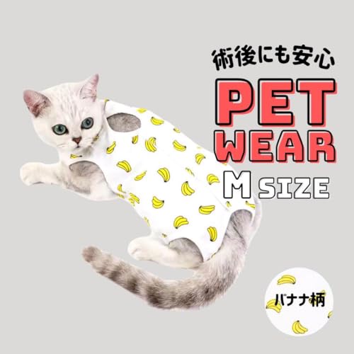 p㕞 ی ی앞 앞 L GUxX }WbNe[v oii M