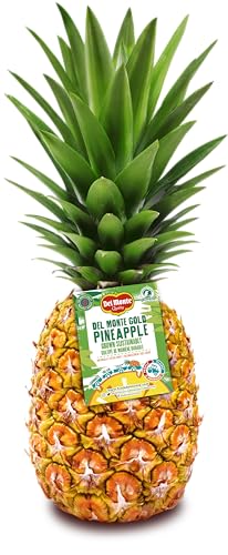 Piña del monte - 1.7 kg