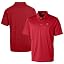 Tampa Bay Buccaneers, Red