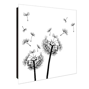 Banjado Pusteblume Schlüsselkasten 50 Haken