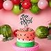 WAHAWU Watermelon Cake Topper - One in a Melon Birthday Cake Topper, Summer Baby First Birthday Cake Topper, Birthday Party Supplies, Photo Decoration Props, Birthday Party Gifts