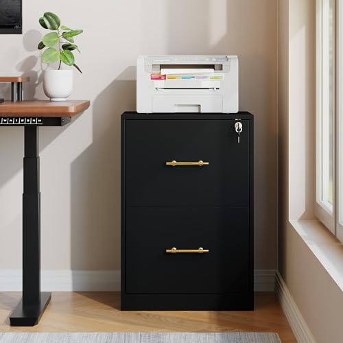 GFGWXW 2 Drawer Vertical File Cabinet with Lock, Suitable for Letter-A4-F4-Legal Size Hanging Files,Small Wood Filing Storage Cabinets Printer Stand for Home Office,Black
