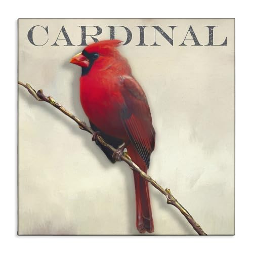 Cardinal Bird Portrait Rustic, 24 x 24 Inch Canvas Wall Art