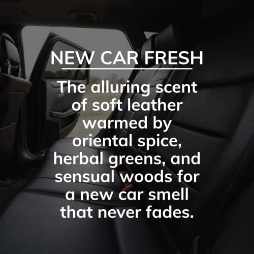 Image of Citrus Magic On The Go Odor Absorbing Solid Air Freshener, Luxurious New Car, 8-Ounce, Pack of 3