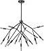Craftmade 44717-OB Aspen Organic Chandelier Lighting, 17-Light 1020 Watts (38"W x 19"H), Oiled Bronze
