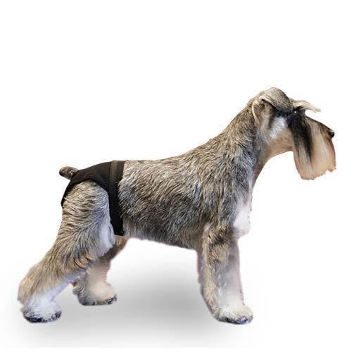 pañales Lavables para Perro Hembra IBAÑEZ Talla L