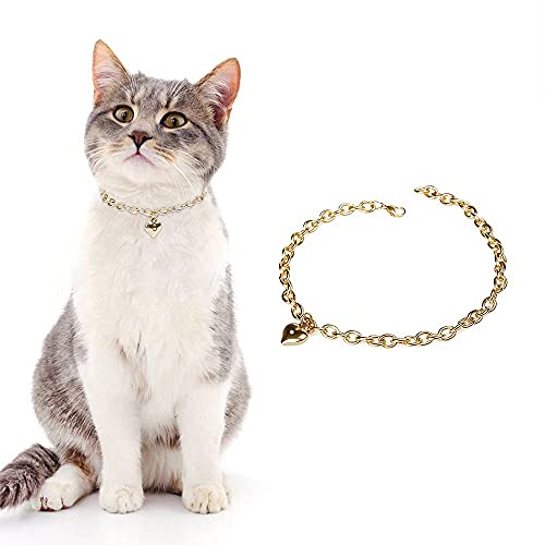 Image of HOWWFALY Dog Collar and Cat Chain Necklace Stainless Steel Adjustable 18K Gold Heart-Shaped Necklace for Small Pets Cats Kitten Puppy (Gold, 12 inch)