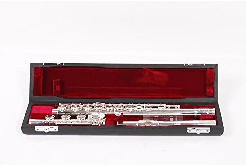 Gemeinhardt 3SB NG New Generation Flute Level 2 Inline Body 886830793530