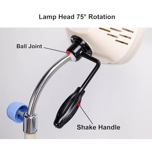 Lampe d'éclairage buccal dentaire à LED pour auscultation précise - 4