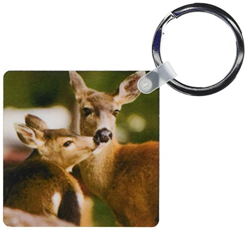 Porte-clés Cerf à queue noire 3drose, lot de 2, Olympic NP WA, 5,7x11,4 cm