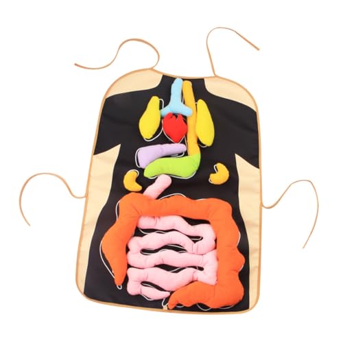 Jouet éducatif organes corps humain UPKOCH tablier 3D