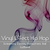  Vinyl Effect Hip Hop