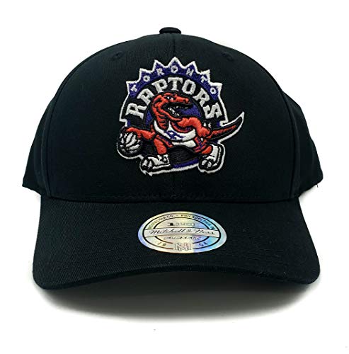 Toronto Raptors 110 Flex Vintage Logo HWC Solid Adjustable Snapback