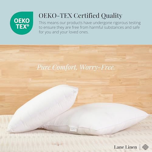 LANE LINEN 4 Pack 18x18 White Throw Pillow Inserts for Decorative Pillow Covers, Couch Pillows for Living Room, Fluffy Pillows for Bed