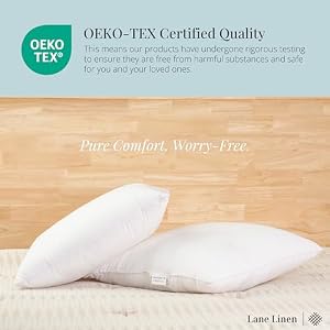 LANE LINEN 4 Pack 18x18 White Throw Pillow Inserts for Decorative Pillow Covers, Couch Pillows for Living Room, Fluffy Pillows for Bed LANE LINEN 4 Pack 18×18 White Throw Pillow Inserts for Decorative Pillow Covers Couch Pillows for Living Room Fluffy Pillows for Bed
