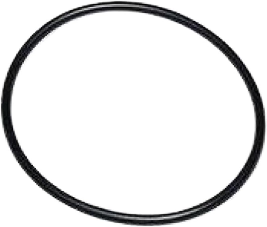 05183172AC Car Window Sunroof Seal Moulding Strip Seal