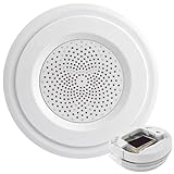 Verkleidete für Zuhause – Bargeldversteck | Realistischer Geheimversteck | für Ringe, Halsketten, Kleingeld, Hausbesitzer, Mieter, Büro, Zuhause, Wohnheim, Schlafzimmer, Wohnzimmer