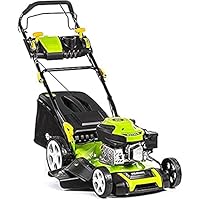 FIELDMANN Rasenmäher,