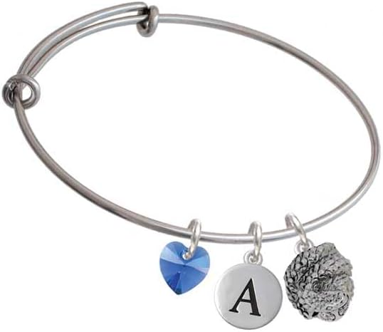 Delight Jewelry Plated Snake Wrapped Around Spinner - Crystal Heart and Pebble Initial Custom Charm Bangle Bracelet