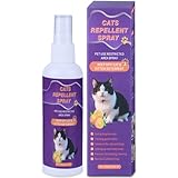 QINGQIYUE Cat Scratch Deterrent Spray, Cat Repellent Spray Indoor and Outdoor for Cat and Kitten, No Scratch Spray Training Aid for Furniture, Sofas, Alcohol-Free Formula -120ML