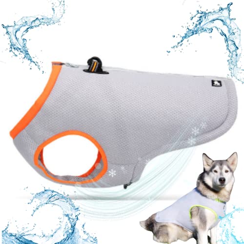 Juvendy K㗝X truelove ybgpxXg N[xXg n[lX ^ꂵɂ  ~ xXg gxXg ^ ^ ^ pi ybgpi (XS, Orange-Grey)