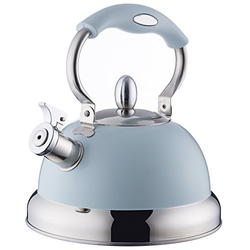 Typhoon Living Stovetop Whistling Kettle with Folding Handle, 2.5 Litre, Blue