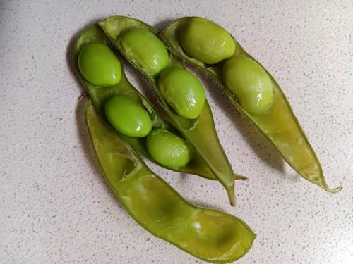 SEMI DI SOIA EDAMAME COLTIVATA IN ITALIA 100pcs