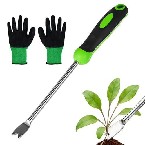 2 Pièces Désherbeur Manuel + Gants, Outil de Désherbage Manuel avec Poignée, Désherbage en Acier Inoxydable à Double Fourche, Arrache Mauvaise Herbe pour Creuser, Désherber, Transplanter, Ameublir