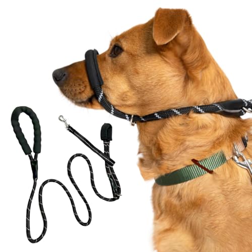 Image of Figure 8 Dog Lead for No Pull Training, Padded Nose Loop, 1.8m