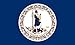 Produktbild Heath Outdoor Products 58048 Virginia Flagge, 152 x 2,4 m