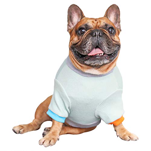 ichoue dog clothes