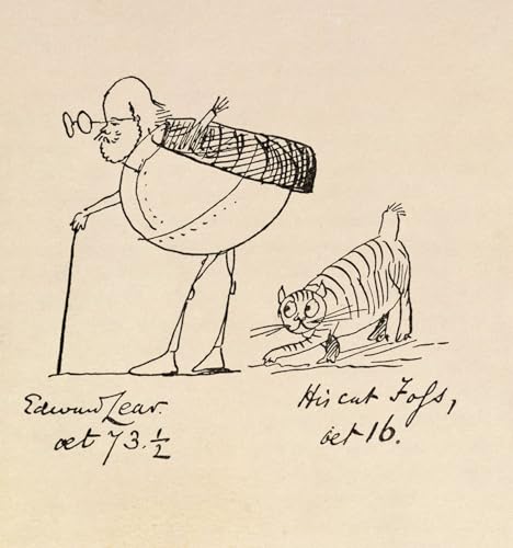 Affiches et gravures impression sur toile Edward Lear chat tableau salon 60x90