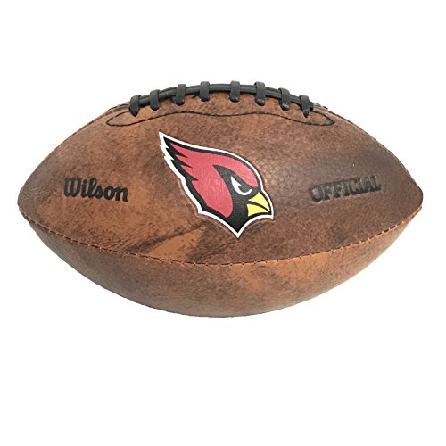NFL Color Logo Mini Football, 9-Inches
