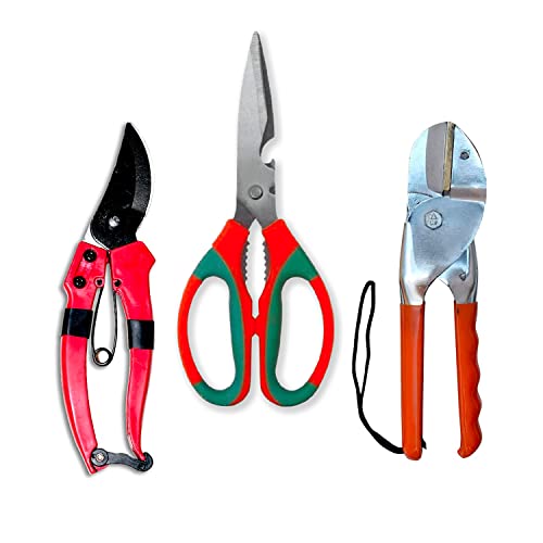 Image of Cinagro (Set of 3) Stainless Steel Gardening Tools, Pack of Pruning Shears, Pruning Secateurs and Gardening Scissors, Sharp Blades for Easy Cutting, Comfortable and Durable (Multicolor)