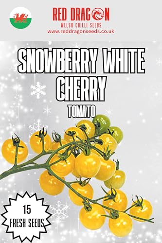 Snowberry White Cherry Tomato Seeds - 15 Fresh Seeds