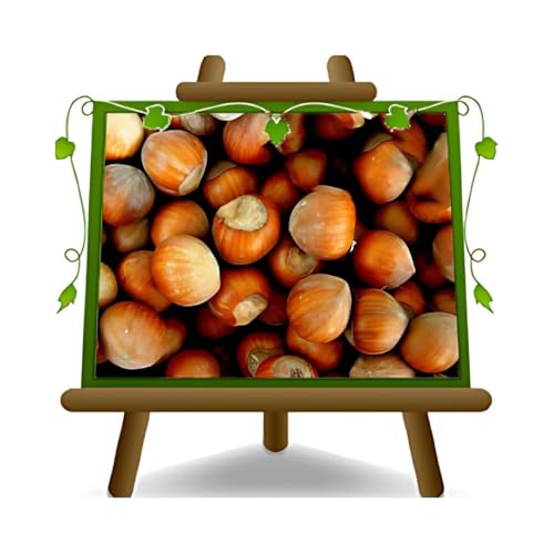 Nocciolo Tonda Gentile Trilobata Pianta da frutto su vaso da 26 cm. - *Altezza: 180-200 cm. - Età: 4 anni.