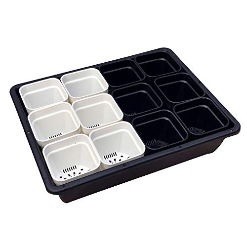 G/J/F Multifunctional Germination Tray, Waterproof Soilless Cultivation Equipment 12 Hole Germination Tray Lid Suitable For Home Gardening / 35×27.5×8cm (Color : A)