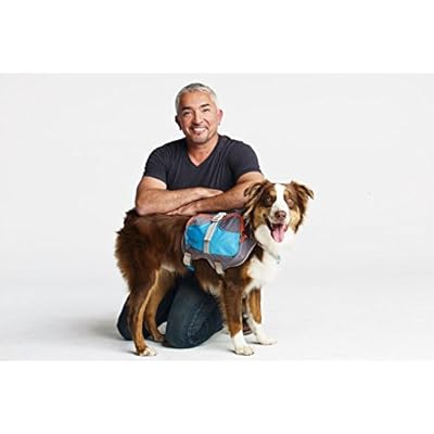 Cesar millan leash reactive dog Clearance