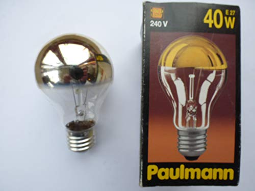 Preisvergleich Produktbild Paulmann AGL 40W E27 Gold