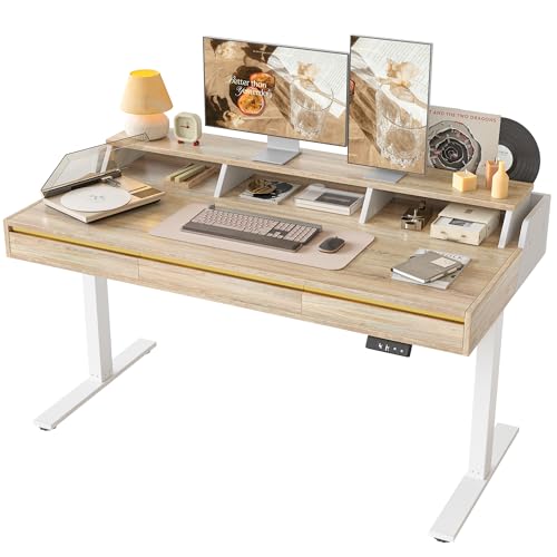 TIQLAB Standing Desk with 3 Drawers, 55