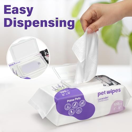 Prime Pets Dog Wipes for Paws and Butt, 100 Count, 8" x 8" Hypoallergenic Pet Wipes for Dogs Cats Cleaning Deodorizing, Lavender Scented, Thick Puppy Wipes for Ears, Eyes, Body and Teeth - Thumbnail 7