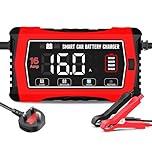 16A Car Battery Charger, 6V/12V/24V Battery Charger for Lead Acid(AGM/Gel/SLA/EFB) and LiFePO4, Automatic Intelligent 10-Stages Trickle Charger Maintainer with LCD Screen for Car, Motorcycle and More