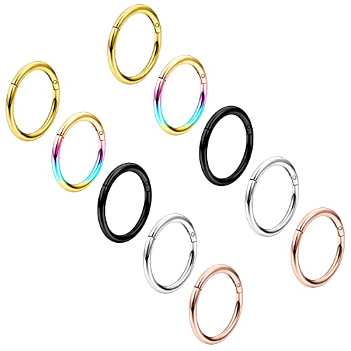Vsnnsns 16G Stainless Steel Hinged Segment Clicker Nose Rings Hoops Septum Jewelry Lip Ring Hoop Cartilage Tragus Conch Helix Rook Hoop Earrings Piercing Jewelry For Women Men 10Mm Mix Colro 16 Gauge #TOP15