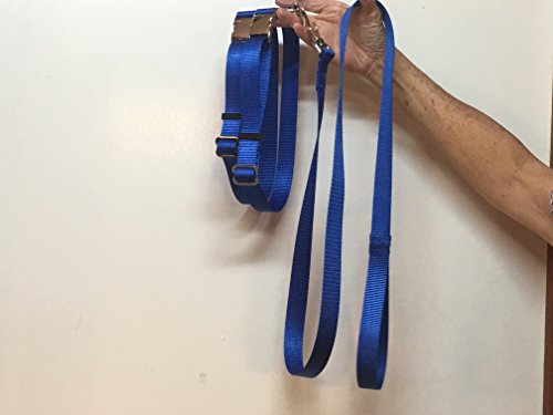 Carter Pet Supply Pig Hog Harness Lighter Curved Buckle Heavy Duty With Leash (Xx-Large, Turquois) #TOP7