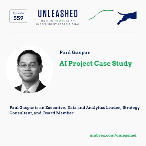 559. Paul Gaspar: AI Project Case Study Podcast Por  arte de portada
