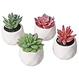 AmyHomie Artificial Plants Set of 4 Mini Fake Succulent Plants with Pots for Home Weeding Office Decoration (red and green)