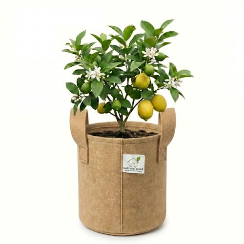 Image of 400 GSM Geo Fabric Round Grow Bags 8x8 Inch with Handle, Camel Color Planting Bags for Terrace and Kitchen Gardening Pack of 1